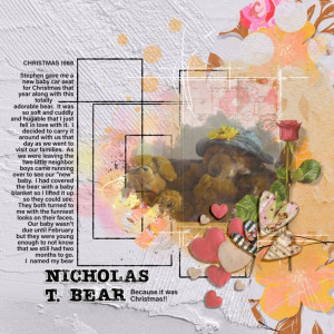NICHOLAS T. BEAR