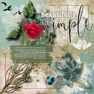 2-27_nbk_beautifullysimple