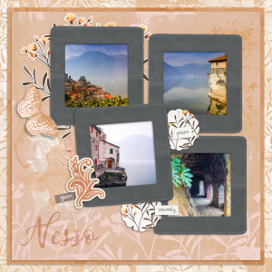 230218_Nesso1
