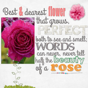 Rose