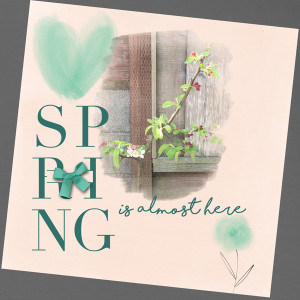 3-12_paisleepress_spring