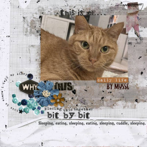 Rachel Jeffries Featured Challenge April