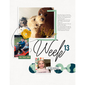 Week-13L
