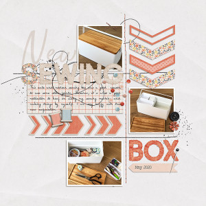 Sewing Box