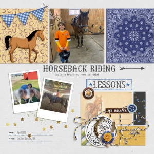 Horseback Riding Lessons
