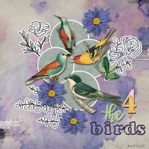 INSD_Mashup_4thebirds
