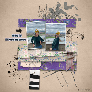 INSD_slowscrap_crown