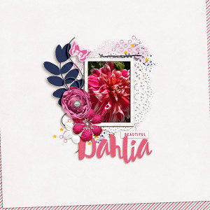 Dahlia