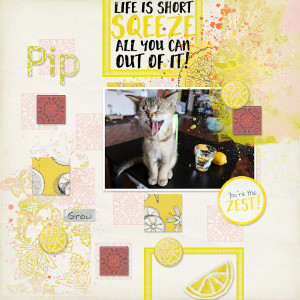 230427_Pip
