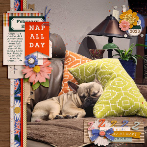 2023_2_Nap All Day