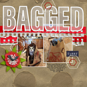 Kim Jensen May 2023 Challenge- Bagged