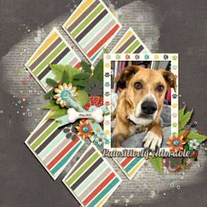 FDD_Unique_2023web