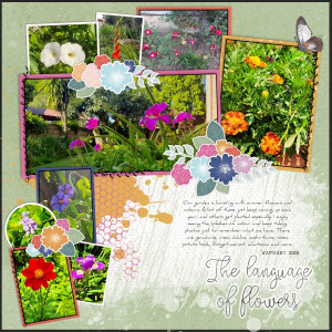 2023-01-31_TheLanguageOfFlowers
