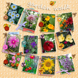 Garden Walk