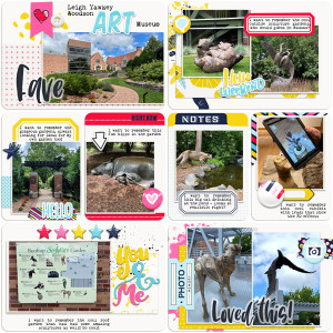TLP_Journal