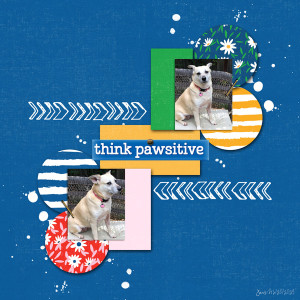 Slow Scrap_thinkpawsitive