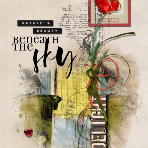 NBK-Design_2023-06_June_New_0630_Poppy-Extravangza_web