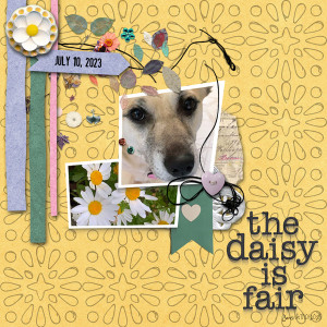 Slow Scrap 7-10_thedaisy