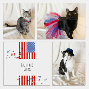 StyleChall_Jul2023