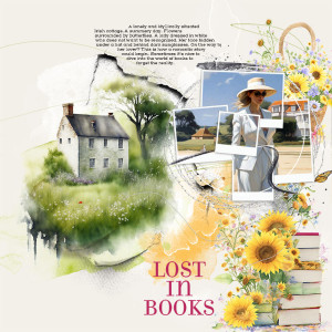 lost in books
