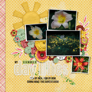 2023-7-13-day-lilies-_600web