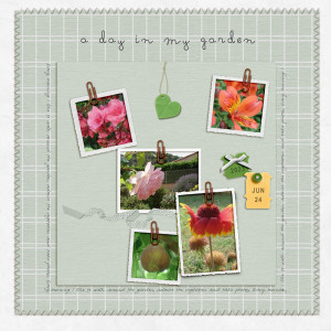 A Day in my Garden