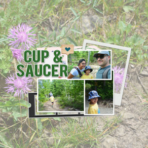 Cup-Saucer