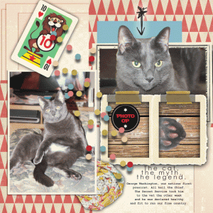 George-Washington-Presicat