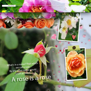 Scrapping With Liz And Roses