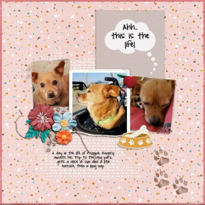 A Day in the Life of Frankie