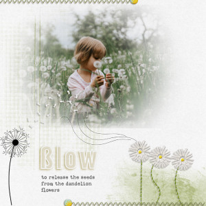 Blow