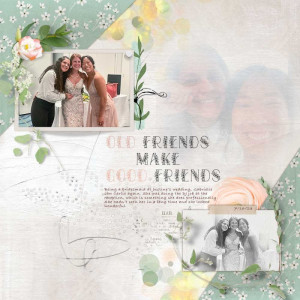 Old-Friends