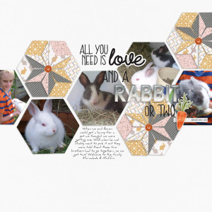 2013-01-11_Rabbit