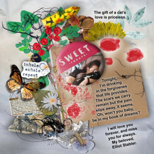 My Book Of Dreams