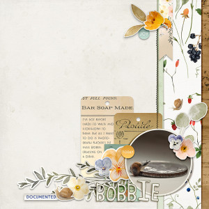 Bobbie the Snail