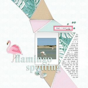 Flamingo Spotting