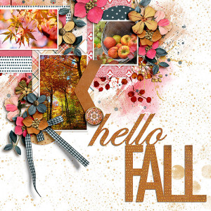 SOSN_sept6_LG_SwL_Hello Fall