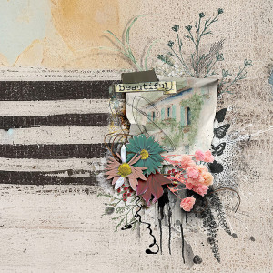 FF_sept8_NBK_Beautiful