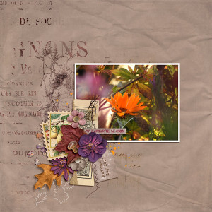 AUTUMN - FAVOURITE SEASON
