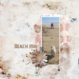 Beach Run