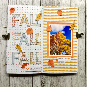 Fall - hybrid