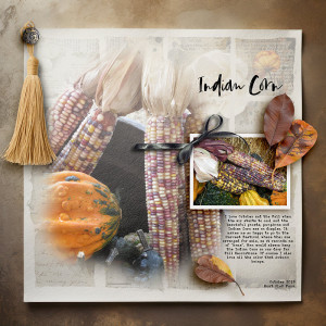 Indian Corn