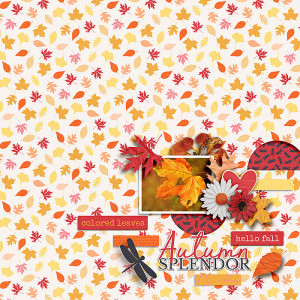 FF_sept22_ngd_Soco_Autumn Splendor