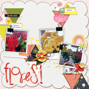 Flores