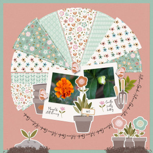 Autumn Garden