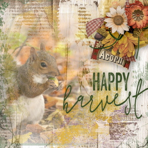 Happy-Harvest
