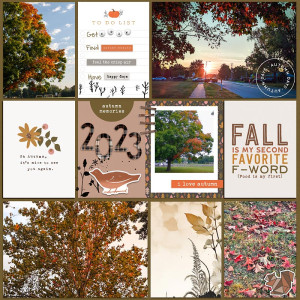 2023 Autumn Leaves