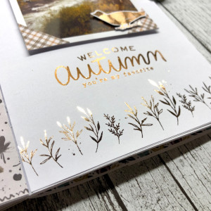 Autumn Days - hybrid - close up 1
