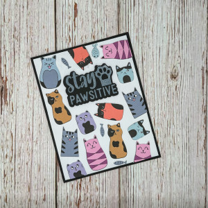 Stay Pawsitive Card