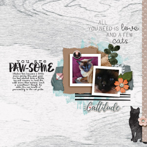 Pawsome